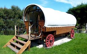 Wacky Stays - Unique Farm-Stay Glamping Rentals, Free Animal Feeding Tours