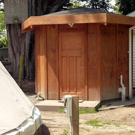 Wacky Stays - Unique Farm-Stay Glamping Rentals, Free Animal Feeding Tours Kaikoura Exterior foto