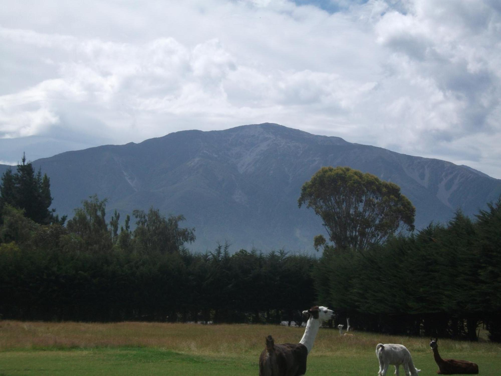 Wacky Stays - Unique Farm-Stay Glamping Rentals, Free Animal Feeding Tours Kaikoura Exterior foto