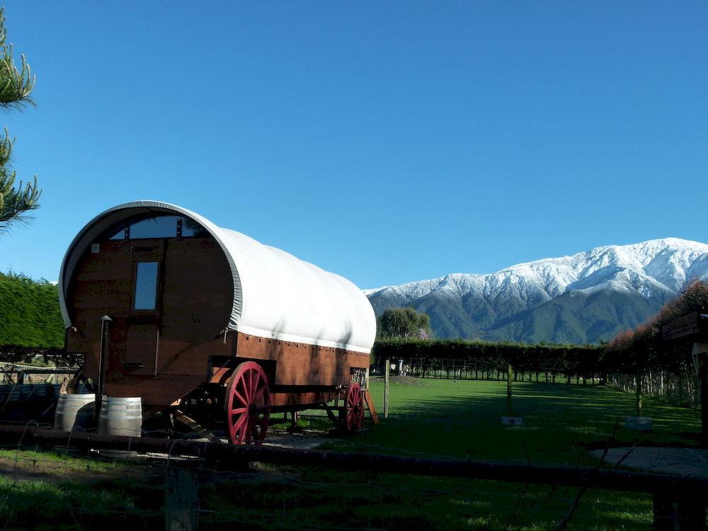 Wacky Stays - Unique Farm-Stay Glamping Rentals, Free Animal Feeding Tours Kaikoura Exterior foto