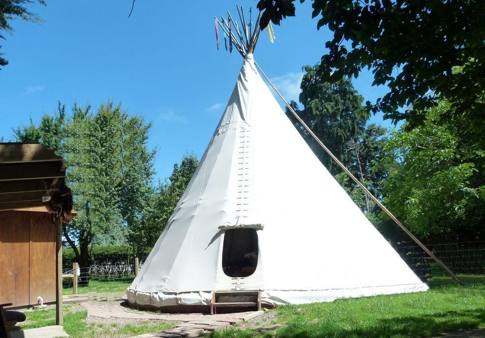 Wacky Stays - Unique Farm-Stay Glamping Rentals, Free Animal Feeding Tours Kaikoura Exterior foto