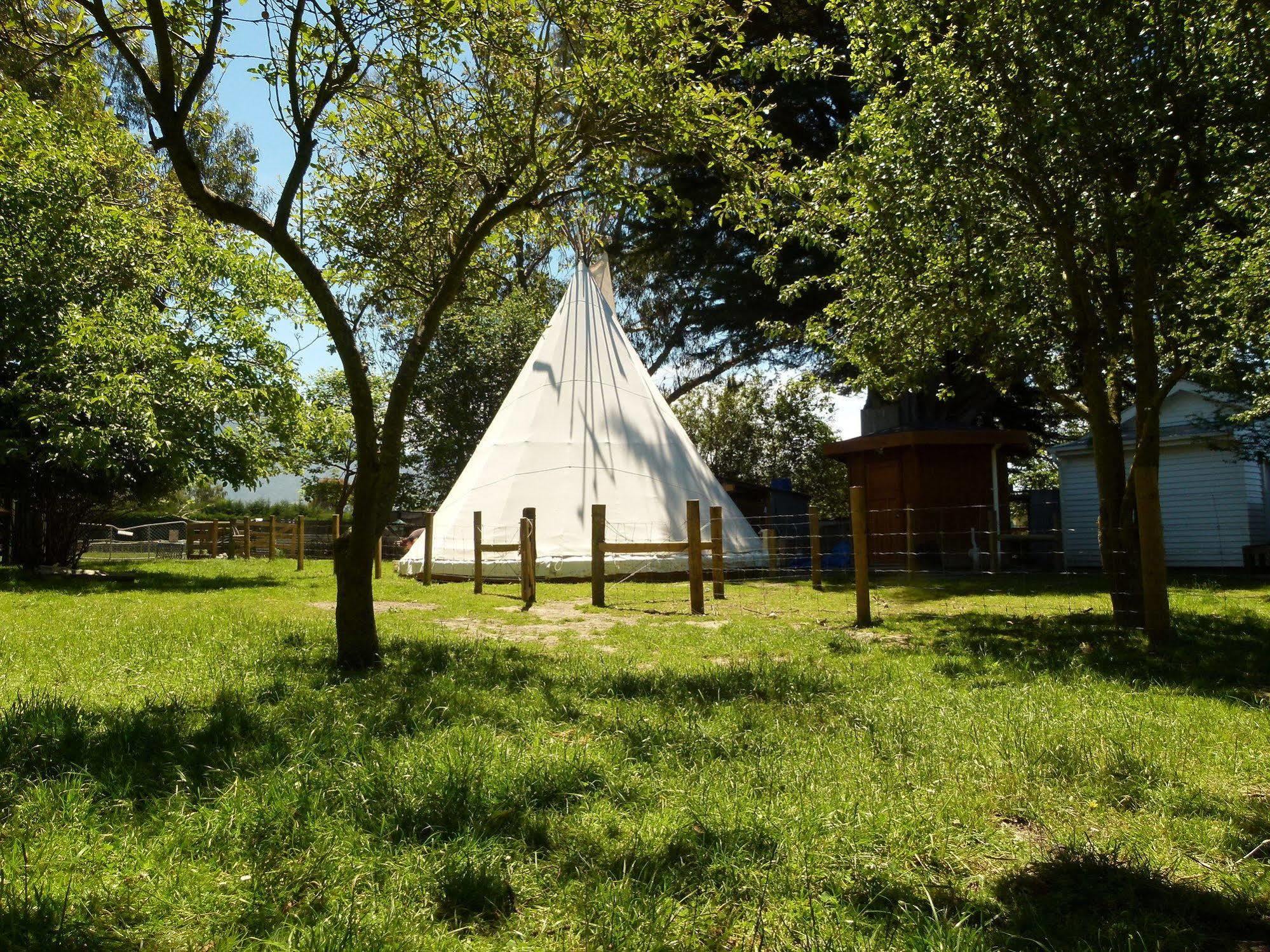Wacky Stays - Unique Farm-Stay Glamping Rentals, Free Animal Feeding Tours Kaikoura Exterior foto